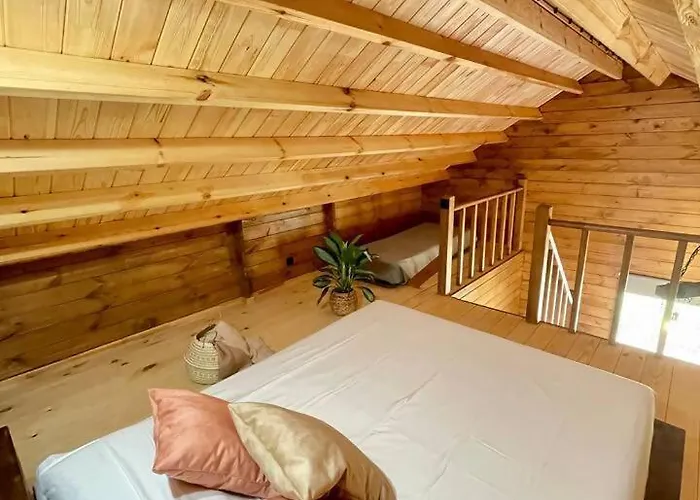 Mountain Eco Shelter 3 Luksustelt Funchal (Madeira)