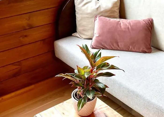 Glamping Mountain Eco Shelter 3 Funchal (Madeira)